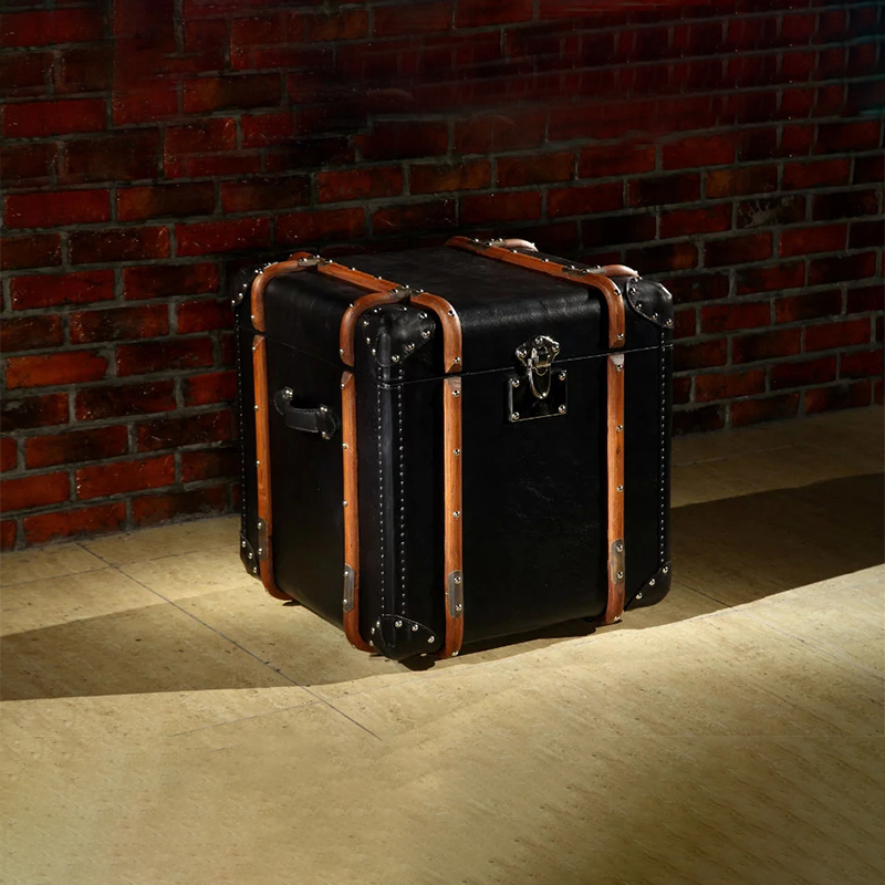 Black Aviator Aluminium Metal Luggage Storage